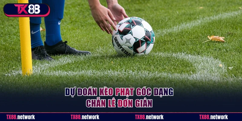 Dự đoán kèo phạt góc dạng chẵn lẻ