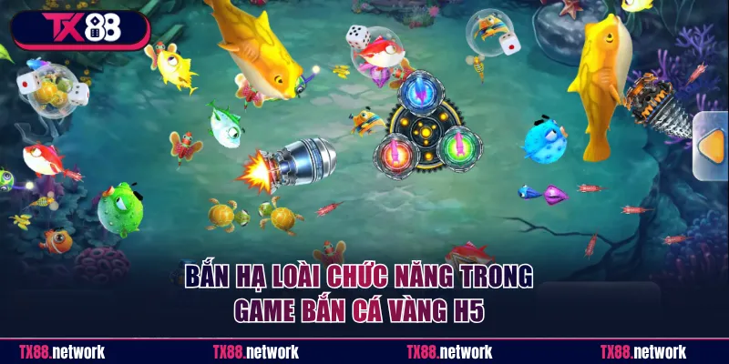 Loài đặc biệt xuất hiện ngẫu nhiên trong đại dương